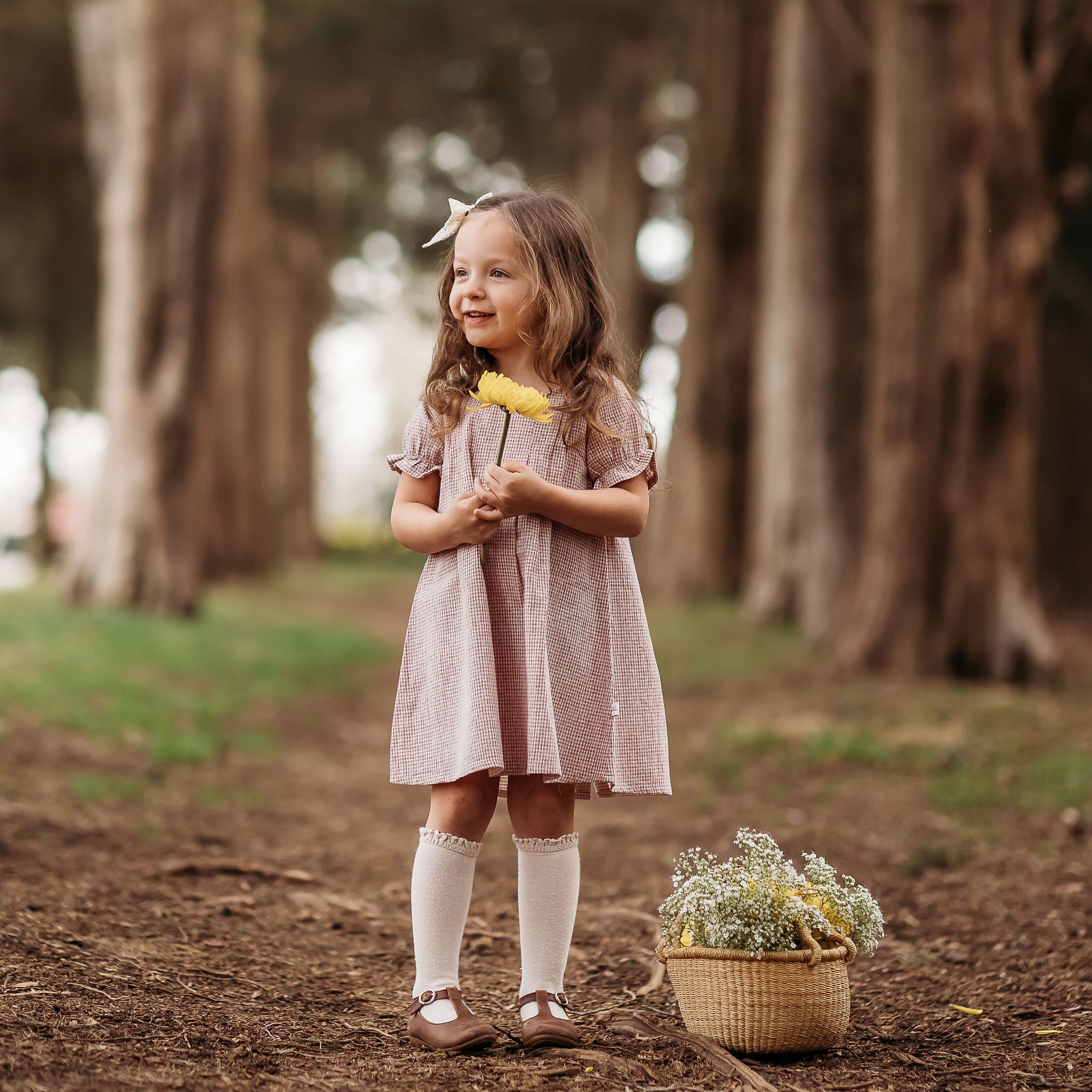 Rust Gingham Short Sleeve Dress