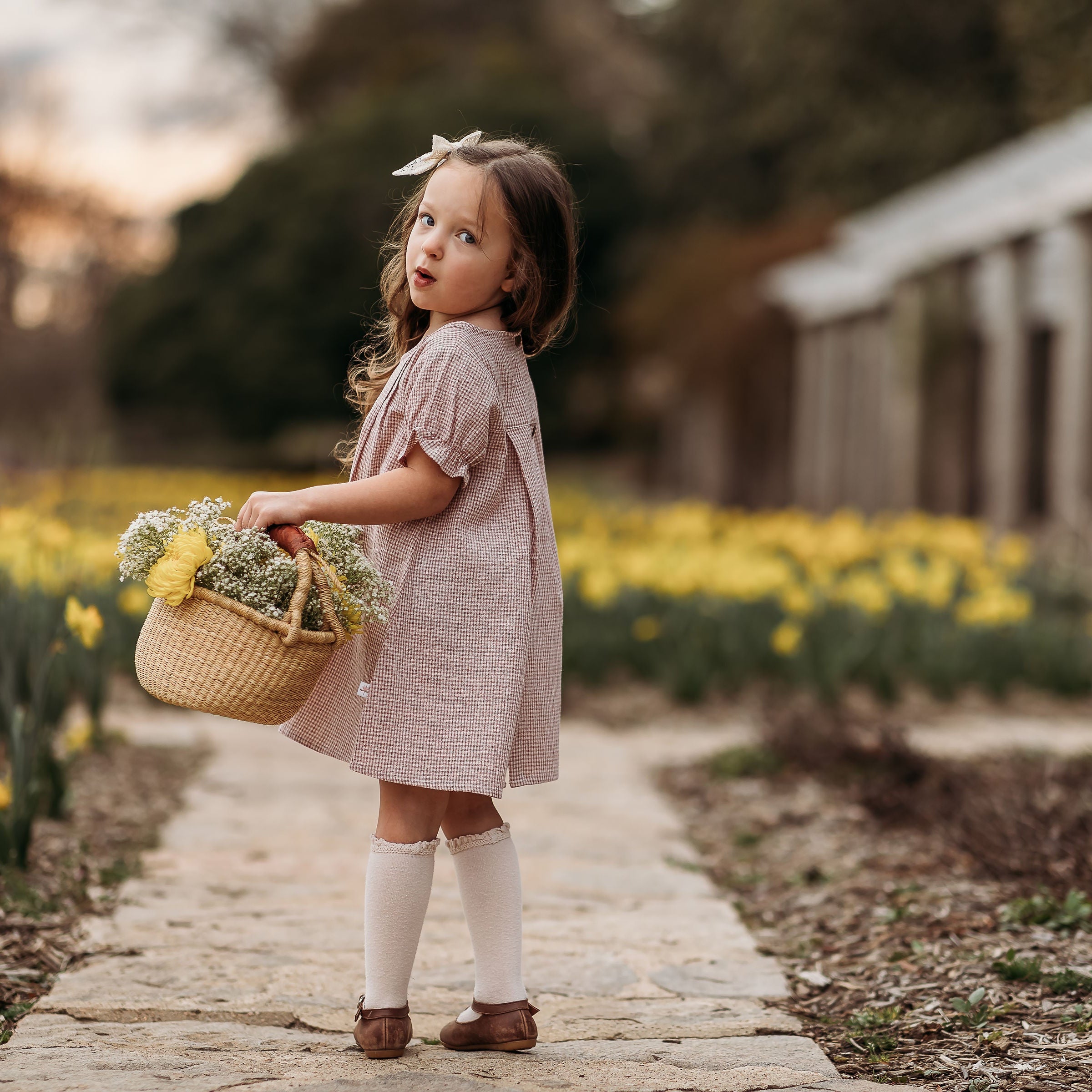 Rust Gingham Short Sleeve Dress