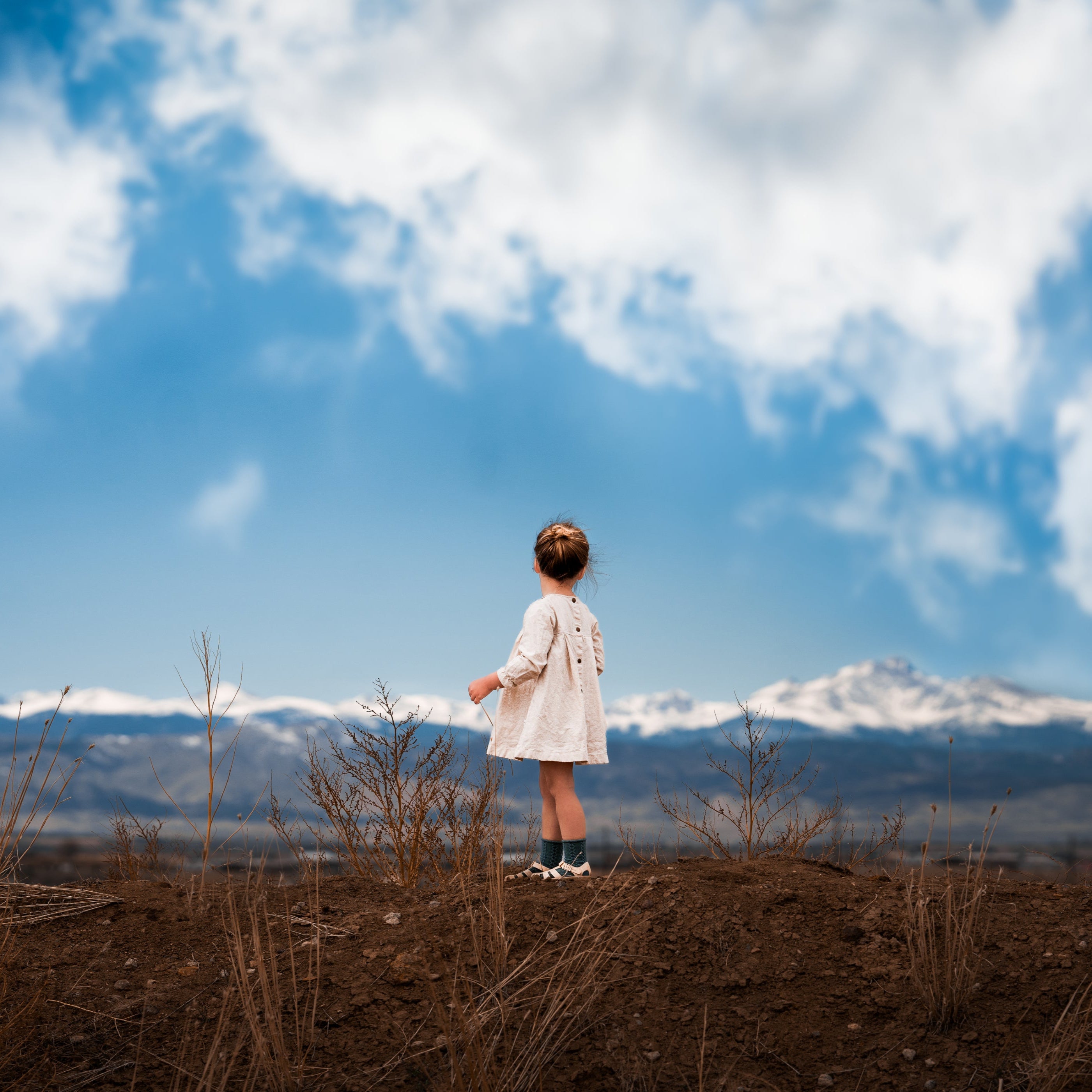 Natural Long Sleeve Dress