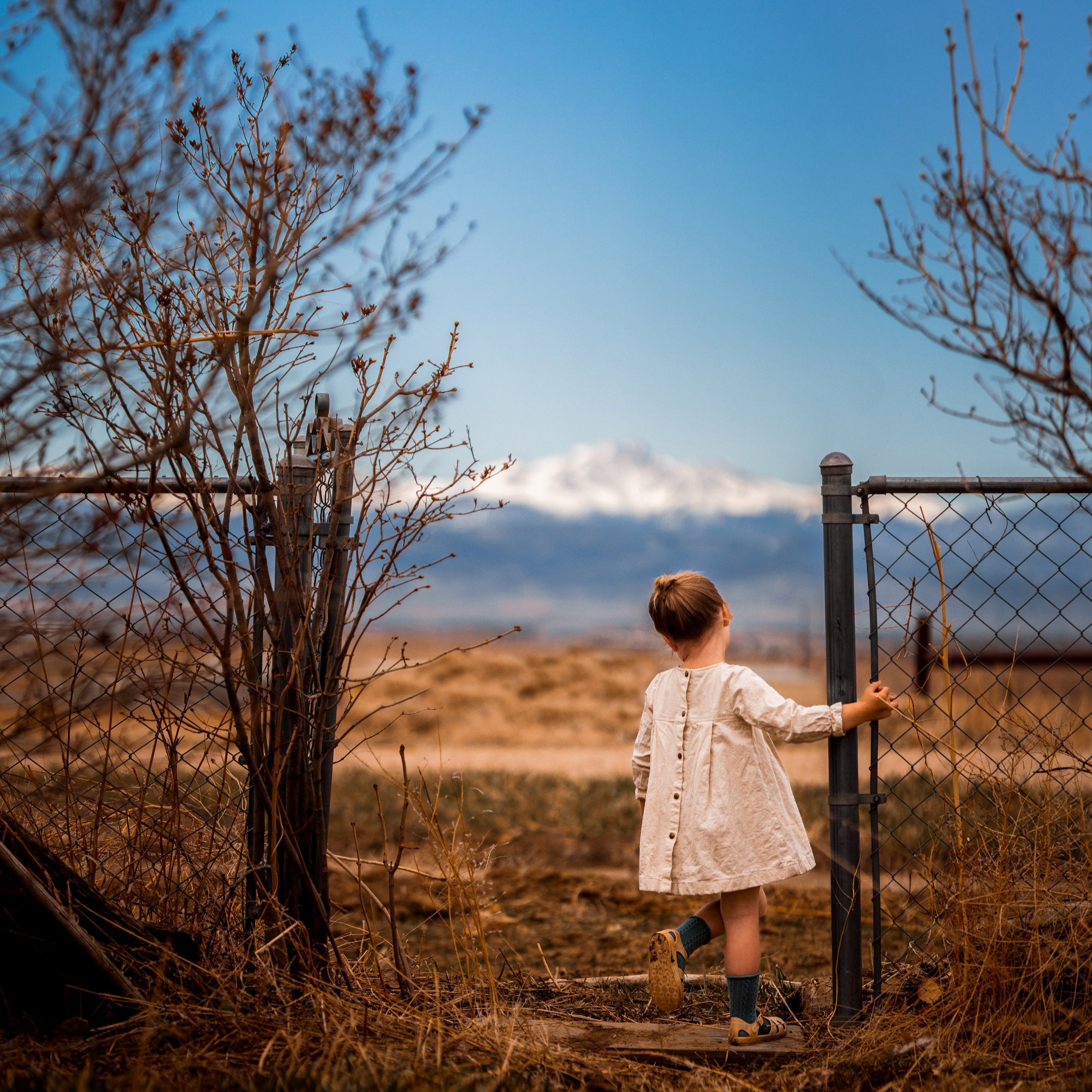 Natural Long Sleeve Dress