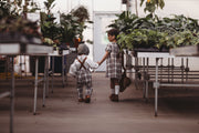 Two children holding hands in a greenhouse filled with plants.