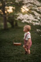 A toddler stands on grass under flowering trees, wearing a white shirt and red-and-white gingham suspenders. A small woven basket sits nearby in the background.