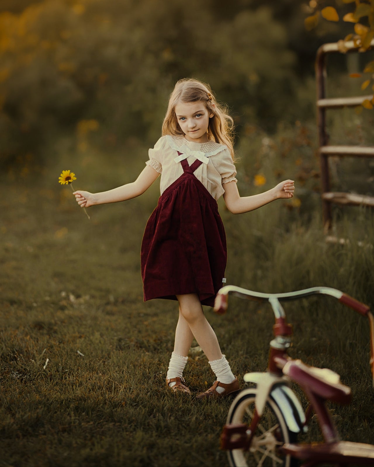 A young girl stands in a grassy outdoor yard holding a small yellow flower, wearing a cream short-sleeve top and a dark burgundy pinafore dress. A vintage-style tricycle is partially visible in the foreground, with trees and a fence in the background under warm golden light.