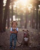 Child holding a dog on a leash in a forest with sunlight filtering through the trees.
