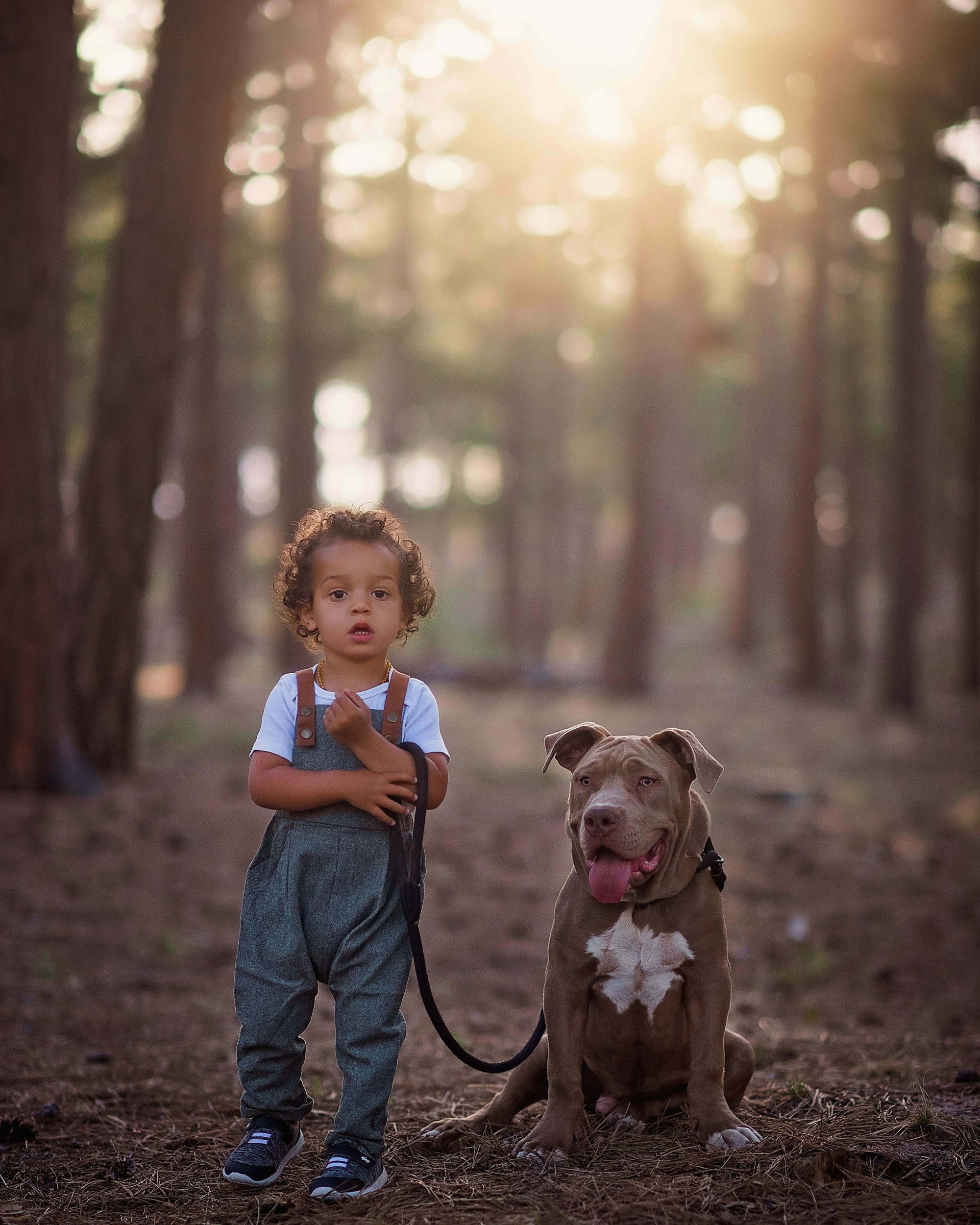 Child holding a dog on a leash in a forest with sunlight filtering through the trees.
