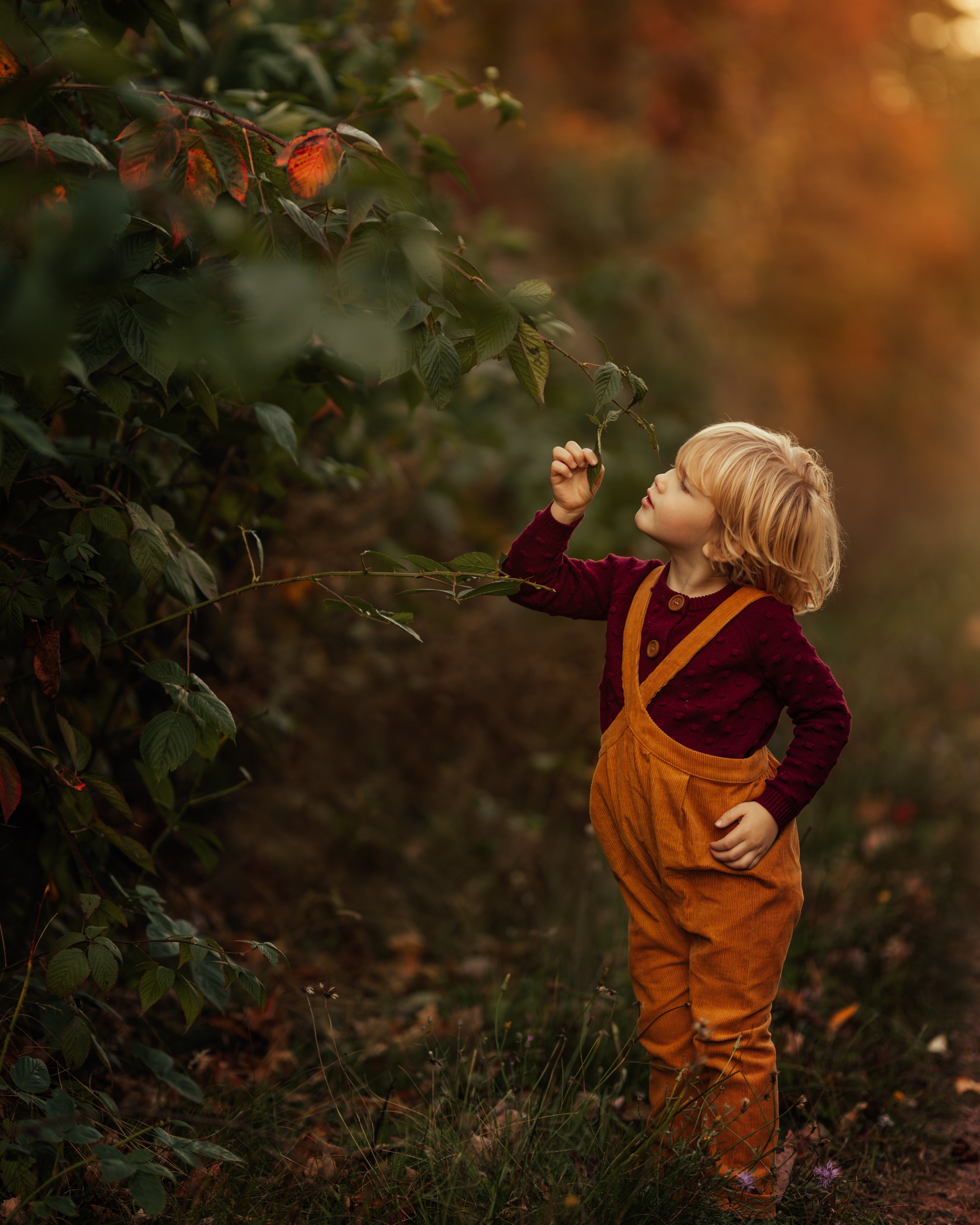 Child in orange overalls and maroon shirt standing in a forest, looking at leaves.