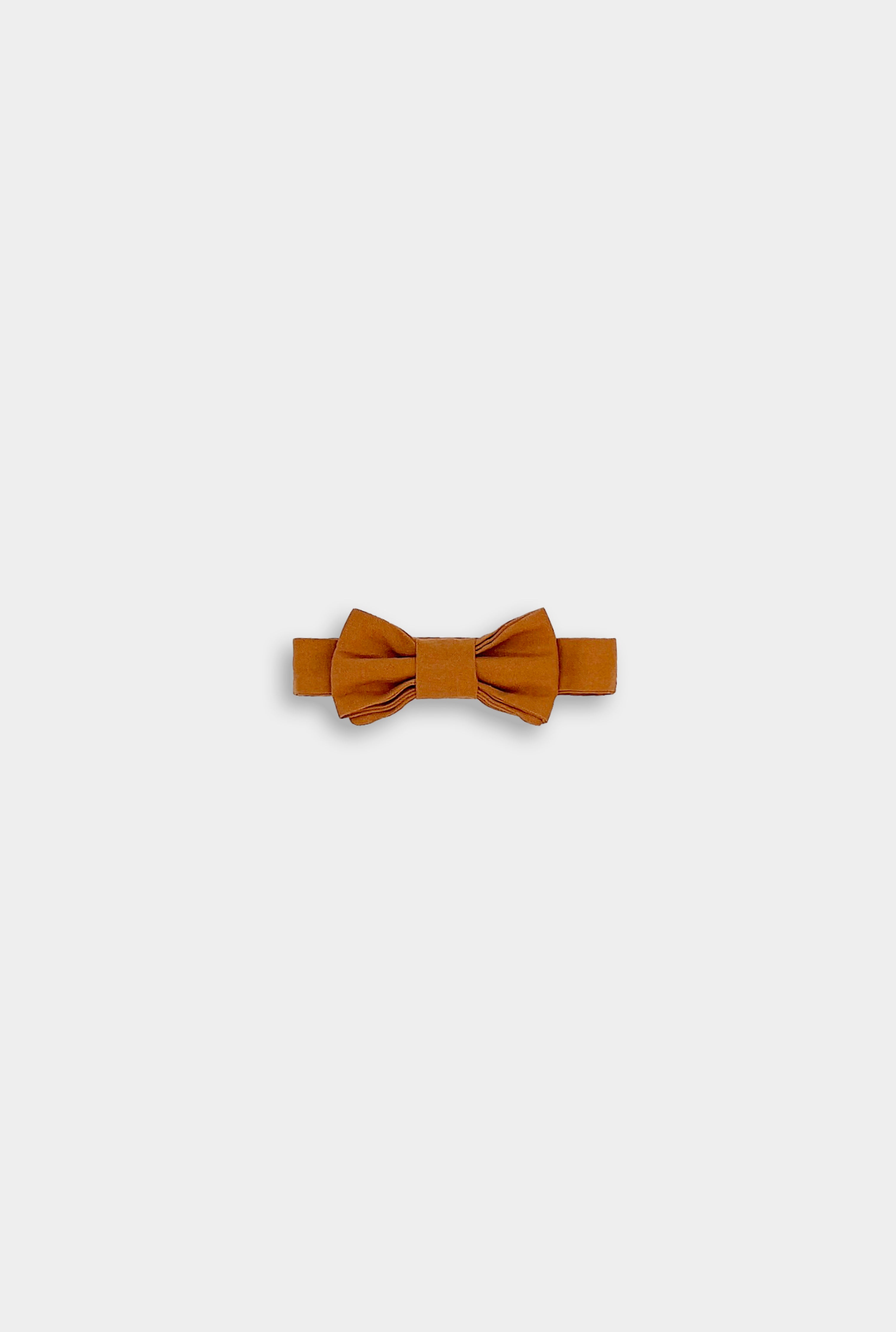 Close-up of the Burnt Orange Bow Tie - A classic accessory showcasing its timeless design and vibrant color, perfect for enhancing any outfit.