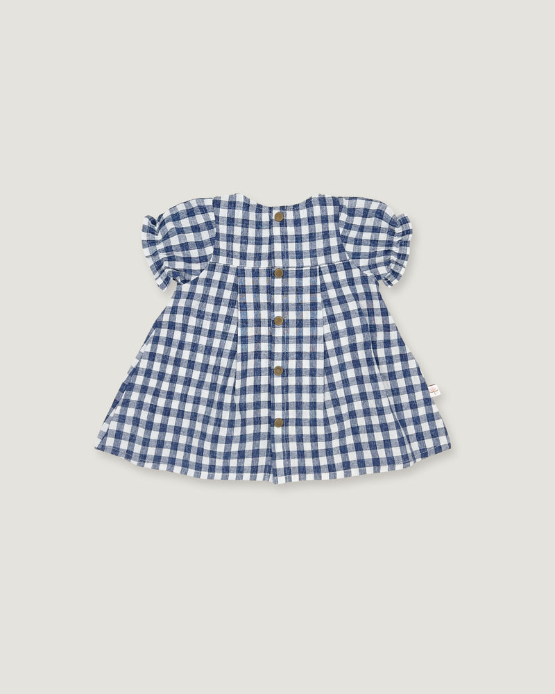 A blue and white gingham check baby dress with ruffled sleeves and a button-up front, shown flat on a light gray background.