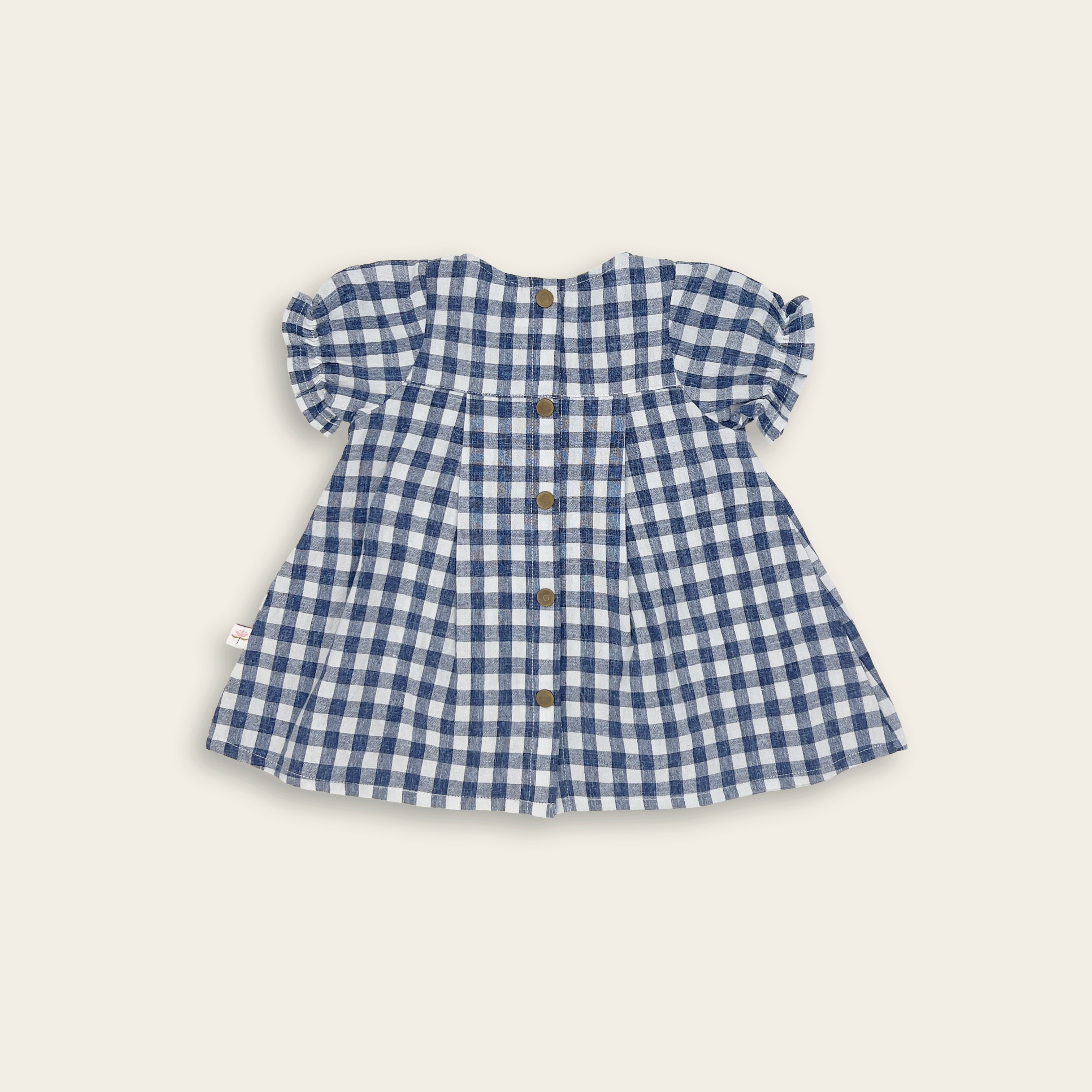 The Blue Gingham Dress