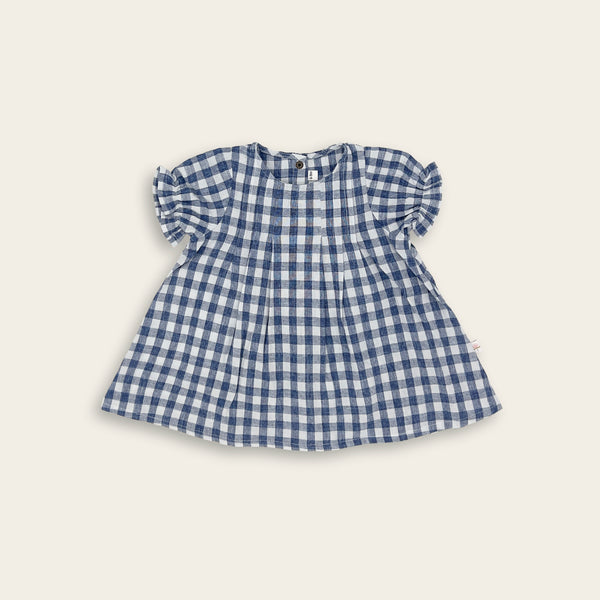 The Blue Gingham Dress