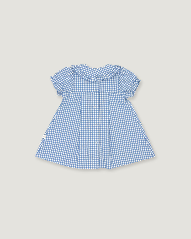A blue and white gingham check baby dress with short flutter sleeves, a Peter Pan collar, and a buttoned front, shown flat on a light beige background.