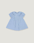 A blue and white gingham check baby dress with short flutter sleeves, a ruffled Peter Pan collar, and a gathered skirt, shown flat on a light beige background.