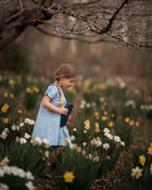 A young girl in a light blue and white gingham dress stands in a field of daffodils, holding a dark blue notebook. Bare tree branches hang overhead, and the background is a soft-focus outdoor setting.