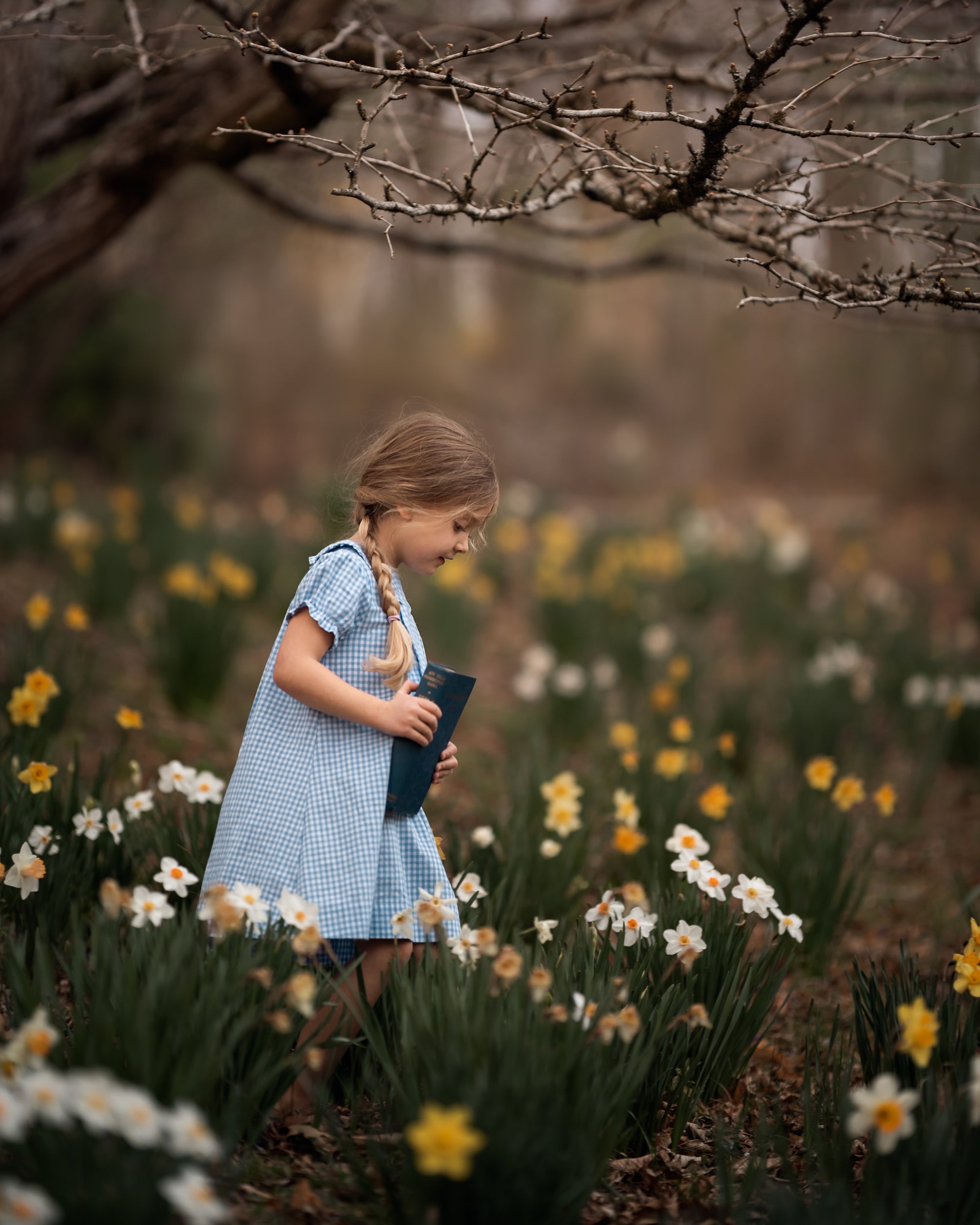 A young girl in a light blue and white gingham dress stands in a field of daffodils, holding a dark blue notebook. Bare tree branches hang overhead, and the background is a soft-focus outdoor setting.