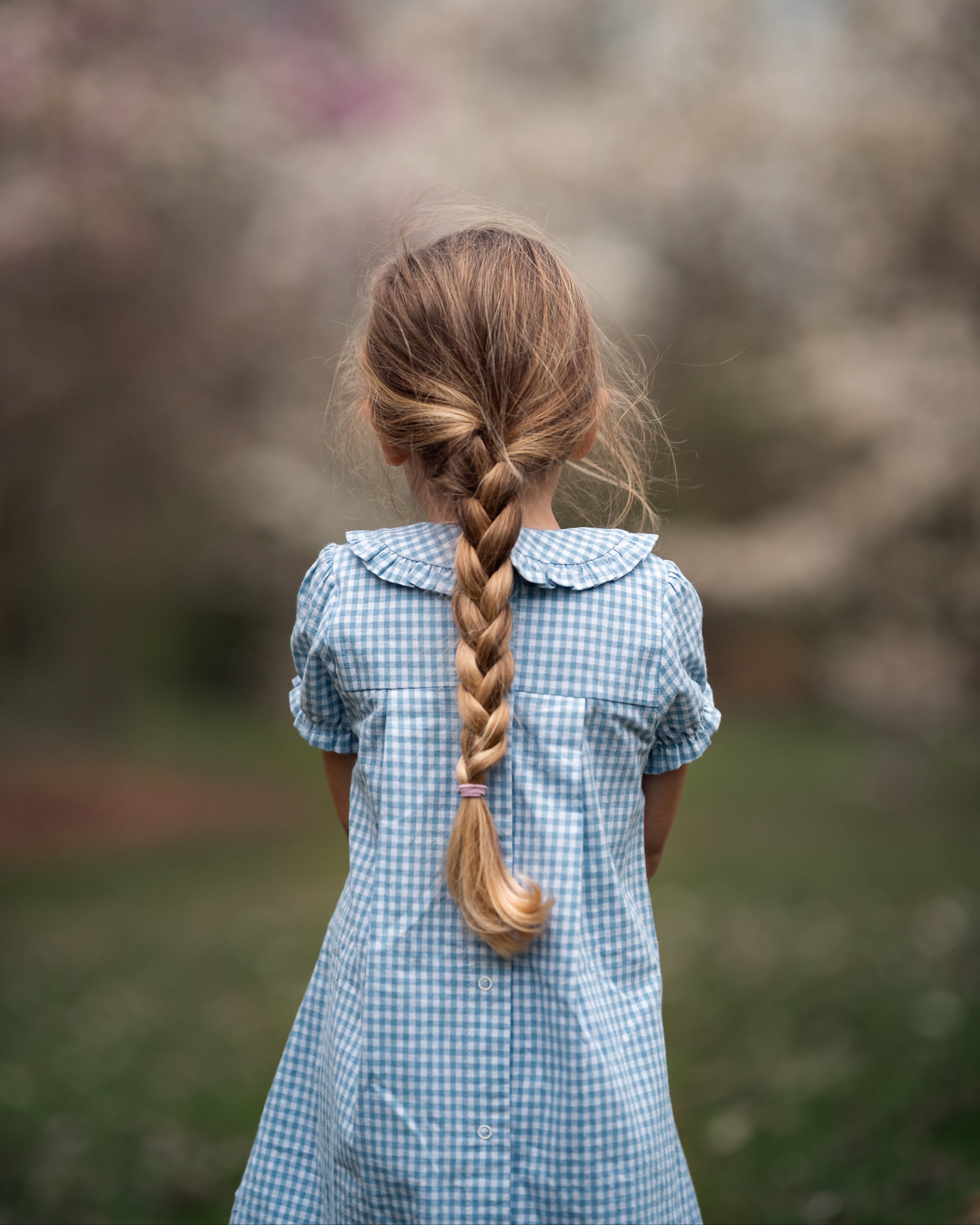 A young girl seen from behind wearing a light blue and white gingham dress, with her long blonde hair styled in a single braid, standing in a soft-focus outdoor setting with blooming trees.