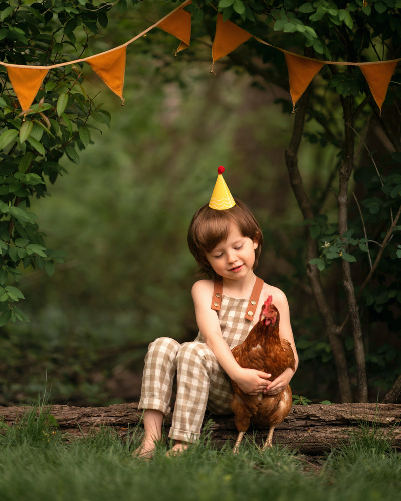 5-year-old boy wearing beige gingham linen long overalls in a birthday scene outdoors, surrounded by festive decorations and a hen, showcasing a gender-neutral design and breathable fabric for comfort.