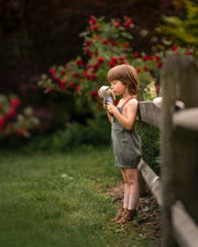 Young boy in green overalls holding a teddy bear in a garden setting
