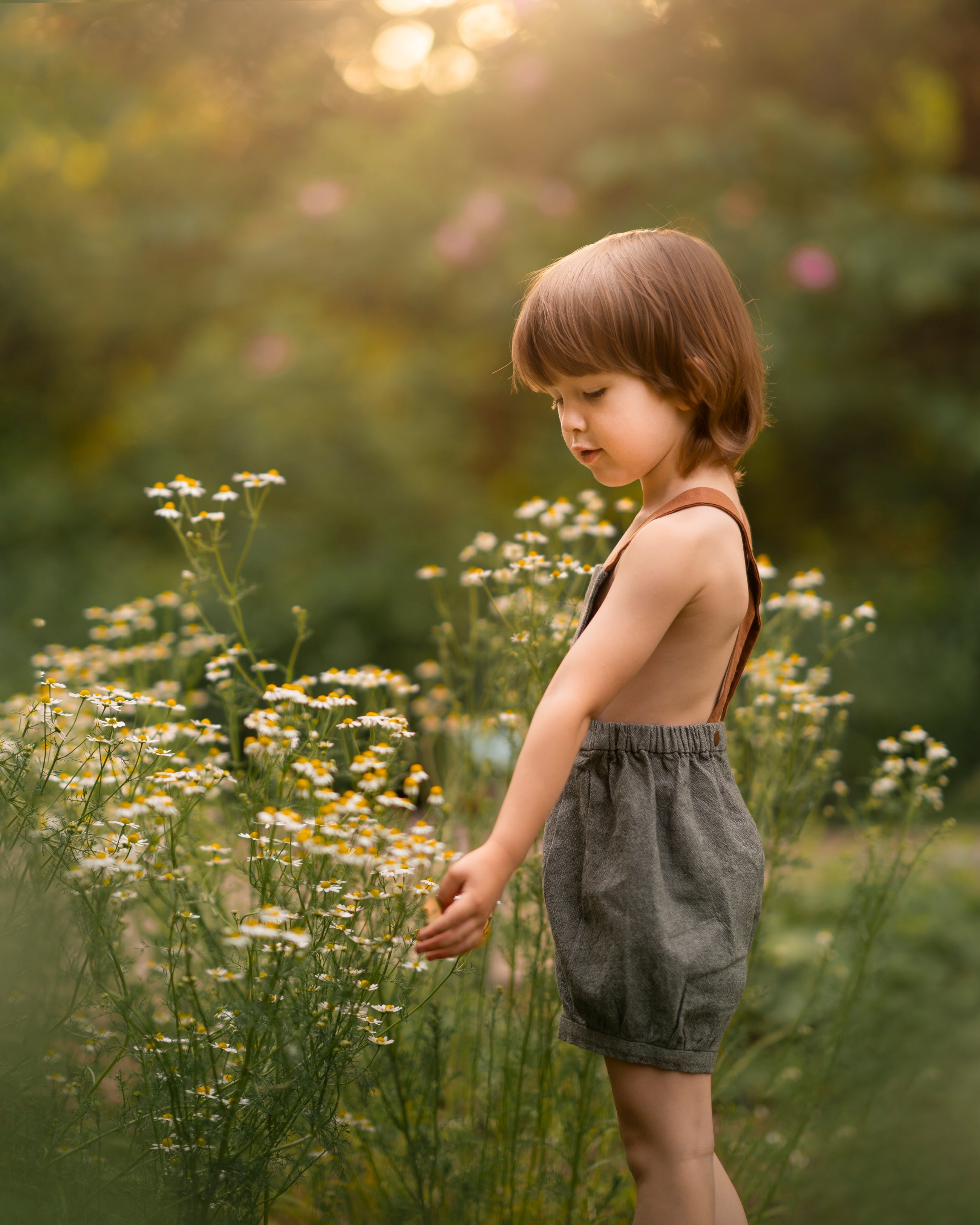 Little boy in green overalls picking daisies