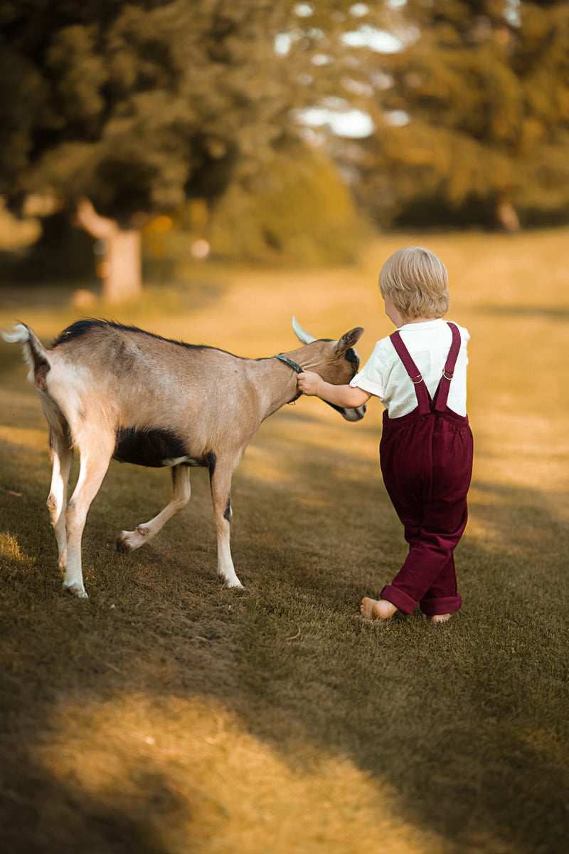 A young child in burgundy overalls and a white t-shirt stands on a grassy field, gently touching the head of a light brown goat. The background is a warm, sunlit, blurred outdoor setting with trees.