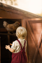 A young child with blonde hair, seen from behind, wearing a cream shirt and dark red overalls, looking at a brown chicken inside a wooden coop.