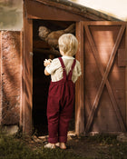 A toddler with blonde hair stands barefoot in front of an open wooden shed, wearing burgundy overalls over a cream shirt. A large brown dog is visible inside the shed in the background.