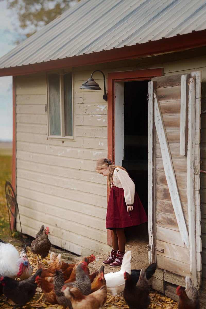 A young girl in a red dress and white blouse stands in the open doorway of a rustic wooden barn, surrounded by chickens on the ground.