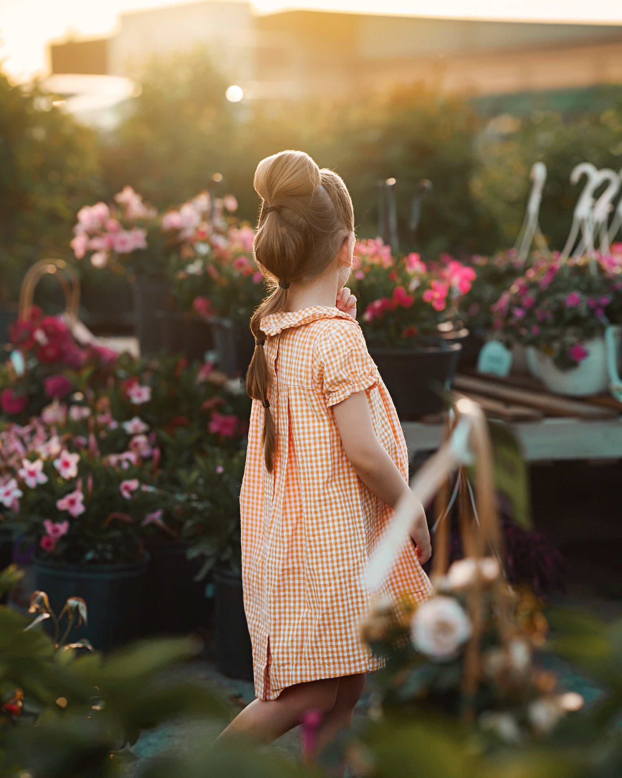 A young girl with her hair in two buns stands in a garden center, viewed from behind as she looks out toward a warm sunset. She is wearing a short-sleeved orange and white gingham dress.