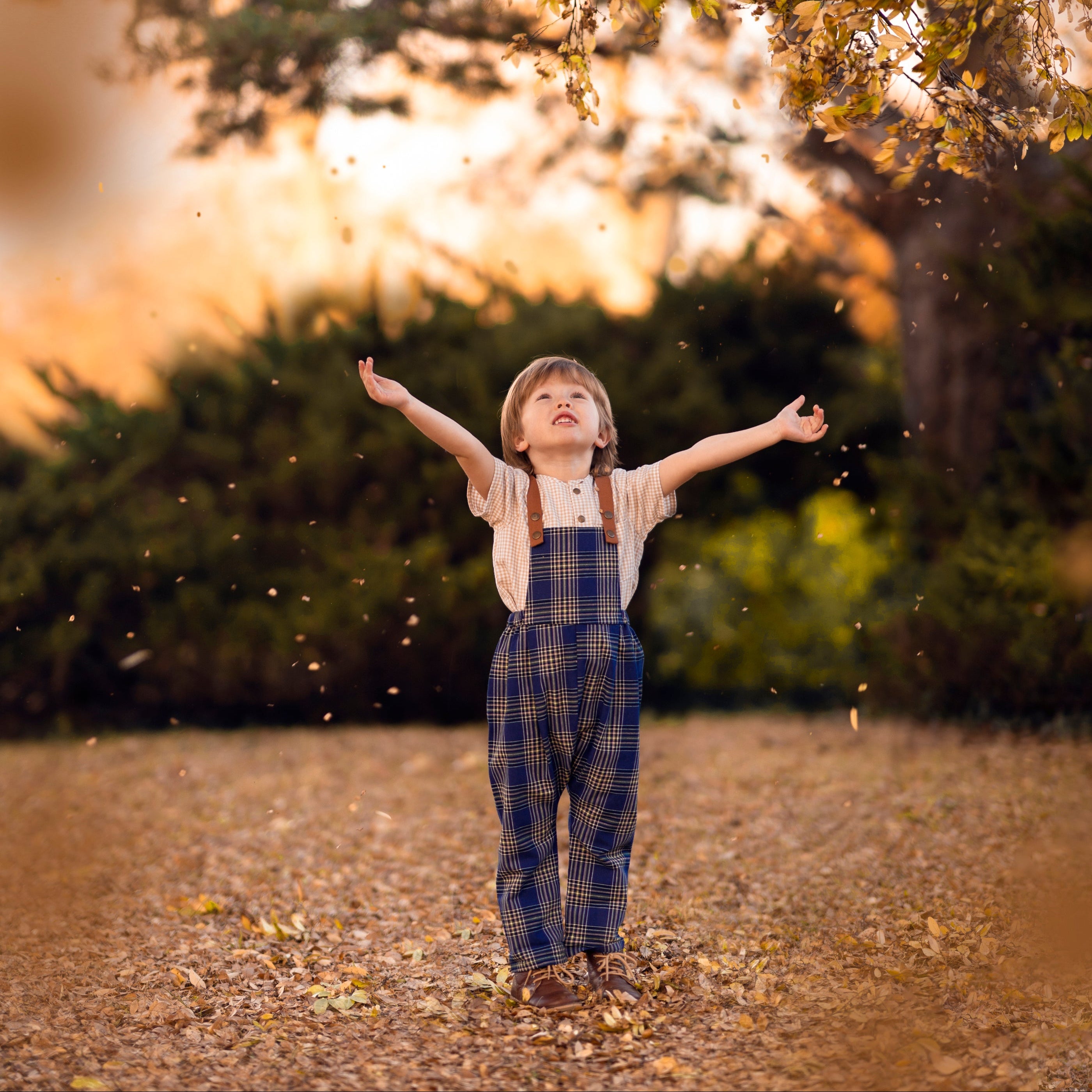 Indigo Plaid Linen Long Overalls