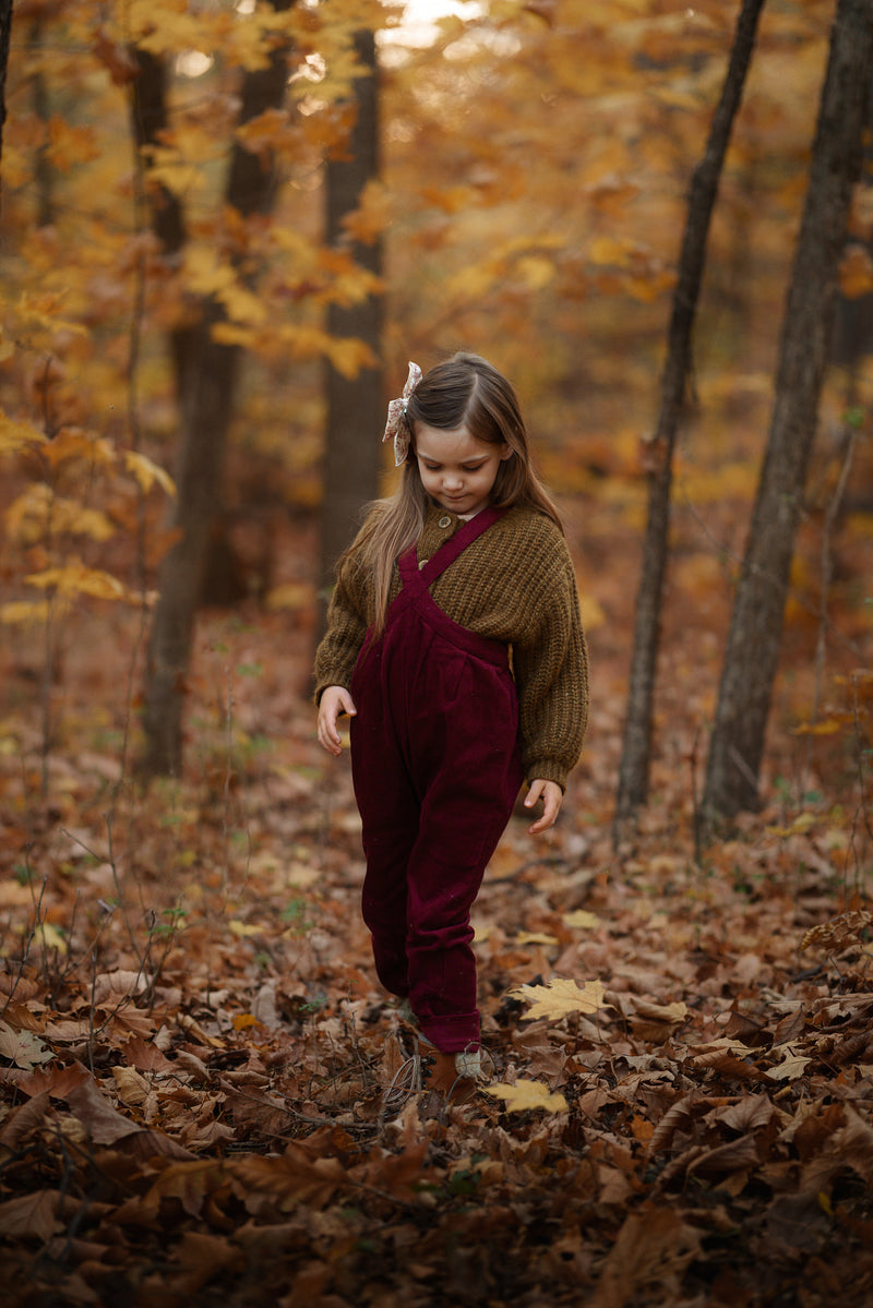 The Beetroot Suspender Pants
