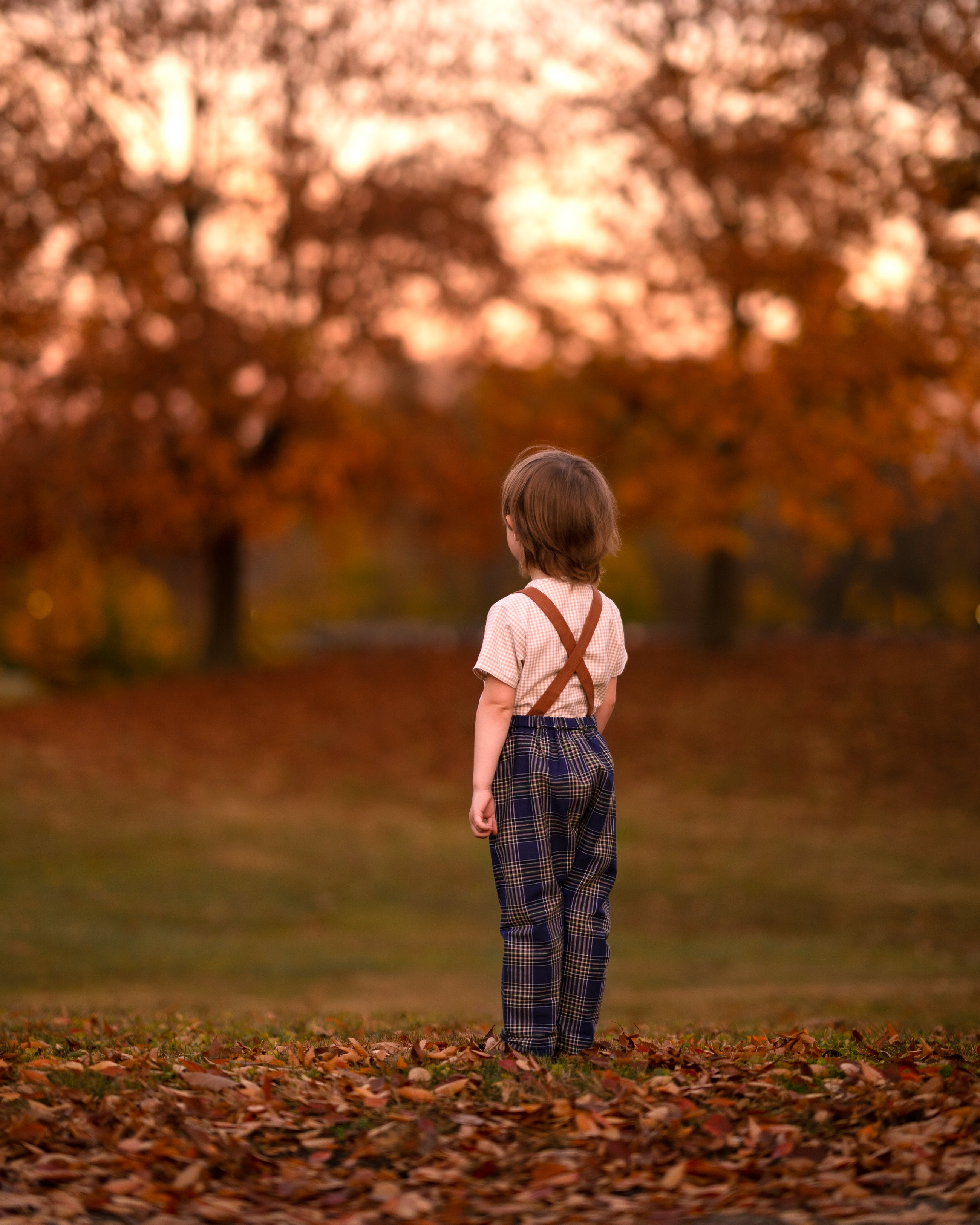 Child standing in a field with trees and sunset in the background