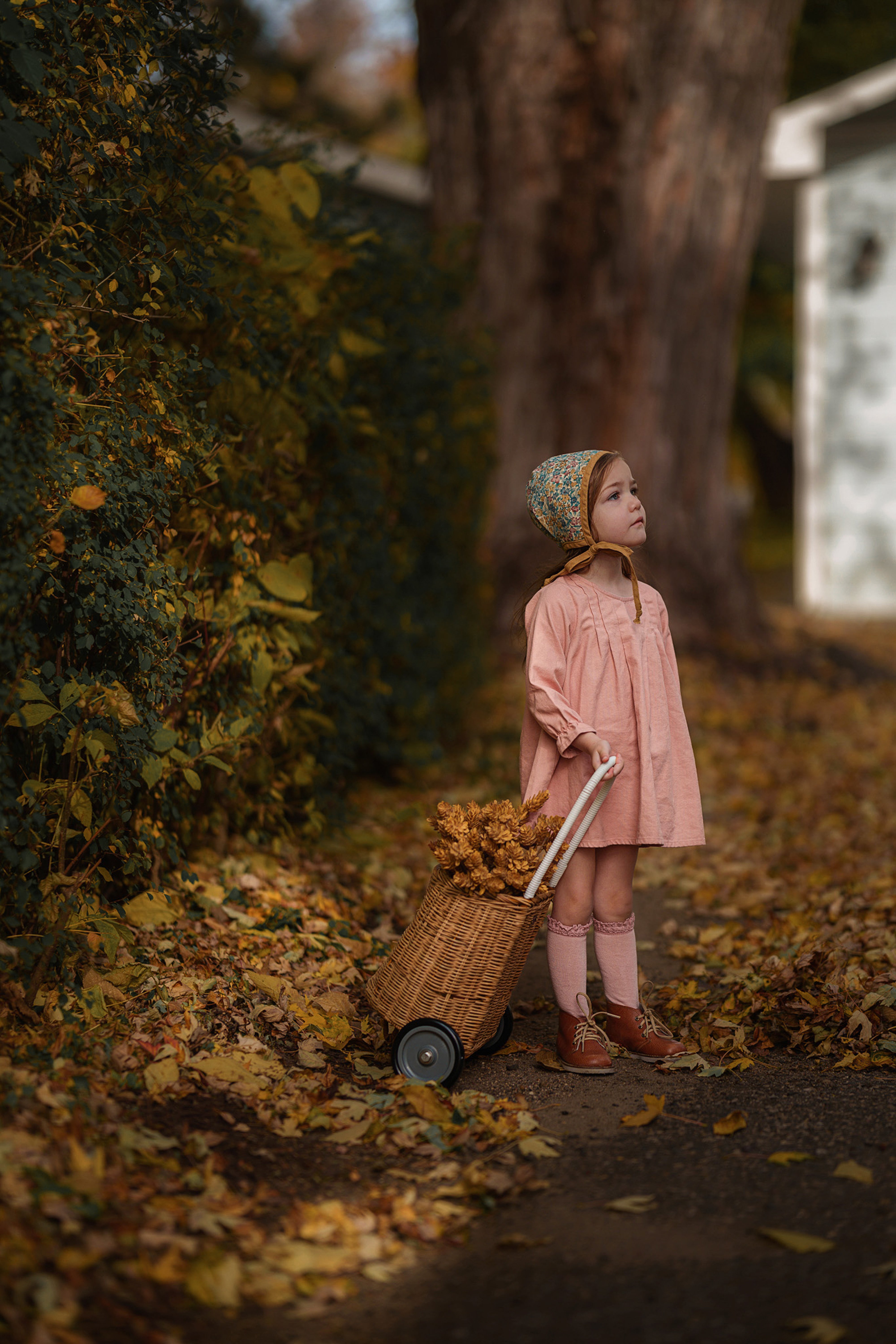 Peony Long Sleeve Dress