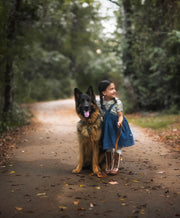 Child in a blue dress standing next to a German Shepherd dog on a path in a forest.