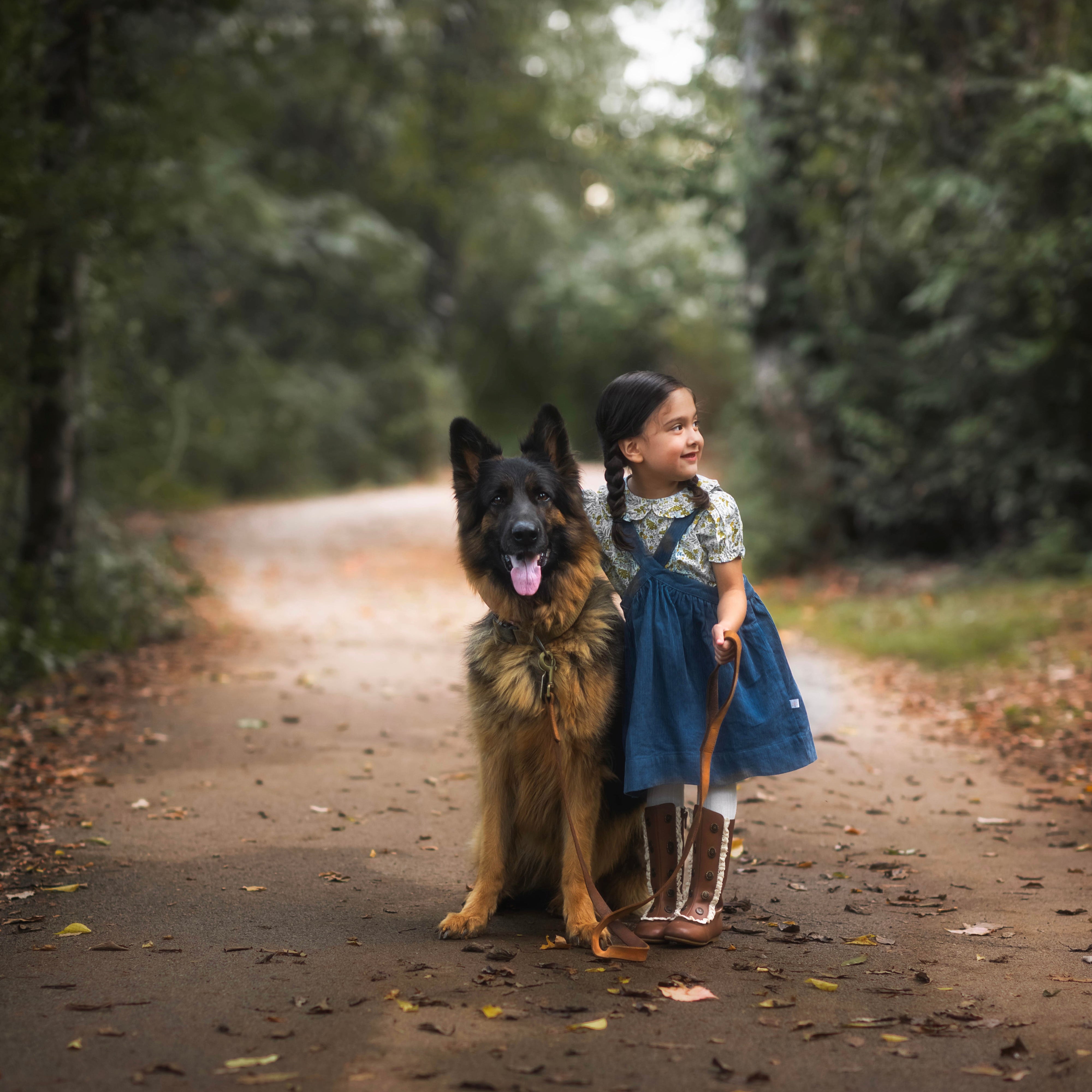 Child in a blue dress standing next to a German Shepherd dog on a path in a forest.