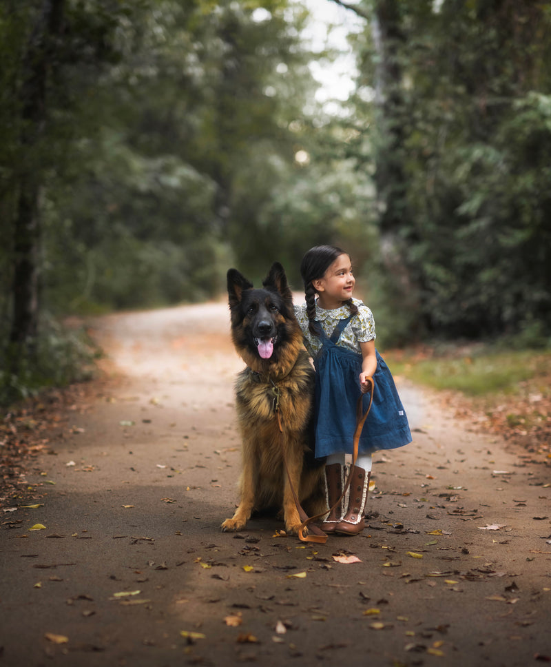 Child in a blue dress standing next to a German Shepherd dog on a path in a forest.
