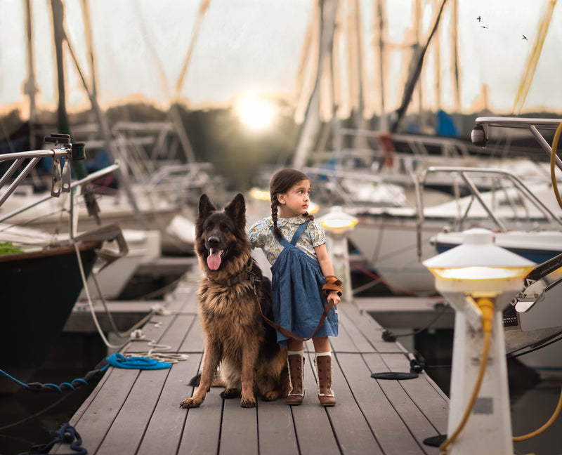 Child and German Shepherd dog on a dock with boats in the background