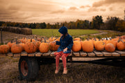 Person sitting on a pumpkin patch with pumpkins around