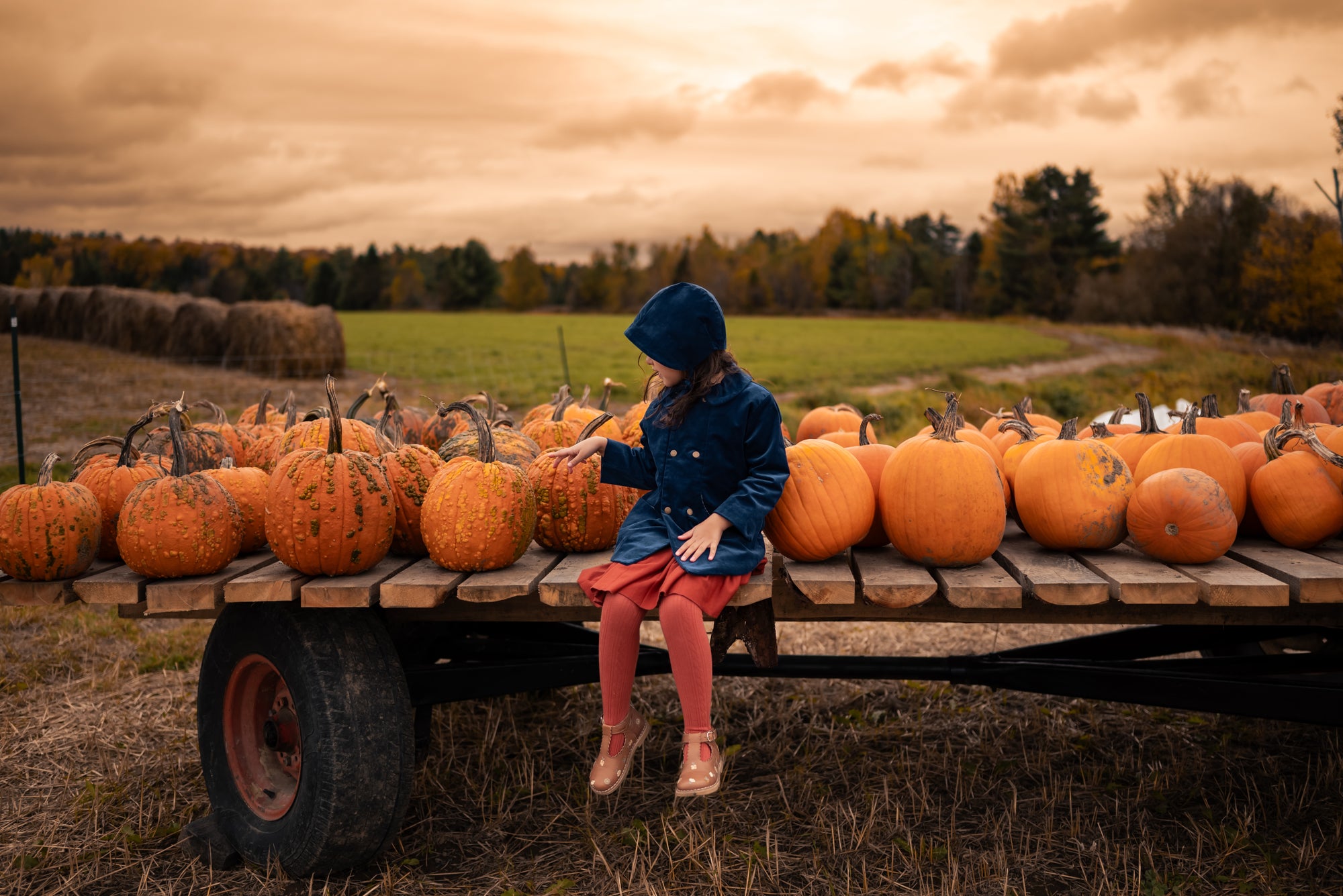 Person sitting on a pumpkin patch with pumpkins around