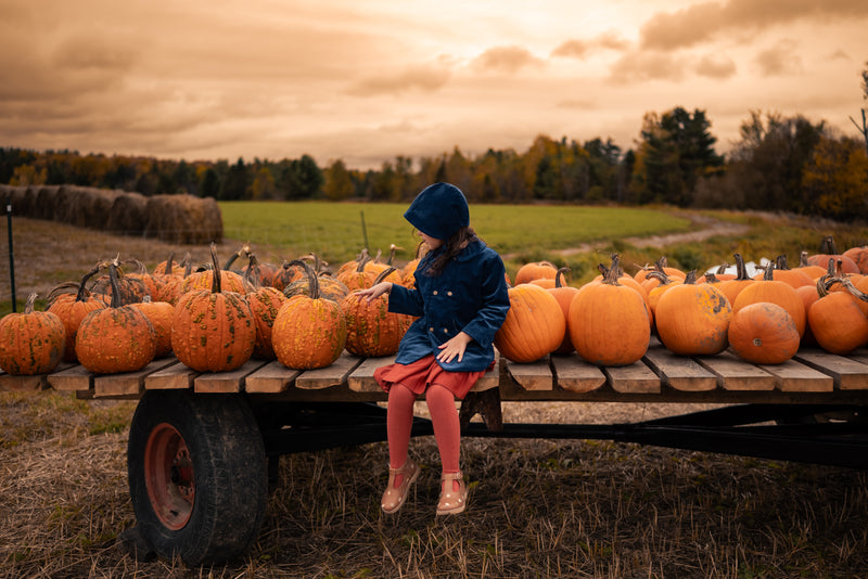 Person sitting on a pumpkin patch with pumpkins around