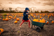 Child pushing a wheelbarrow full of pumpkins through a pumpkin patch in a blue coat and matching bonnet