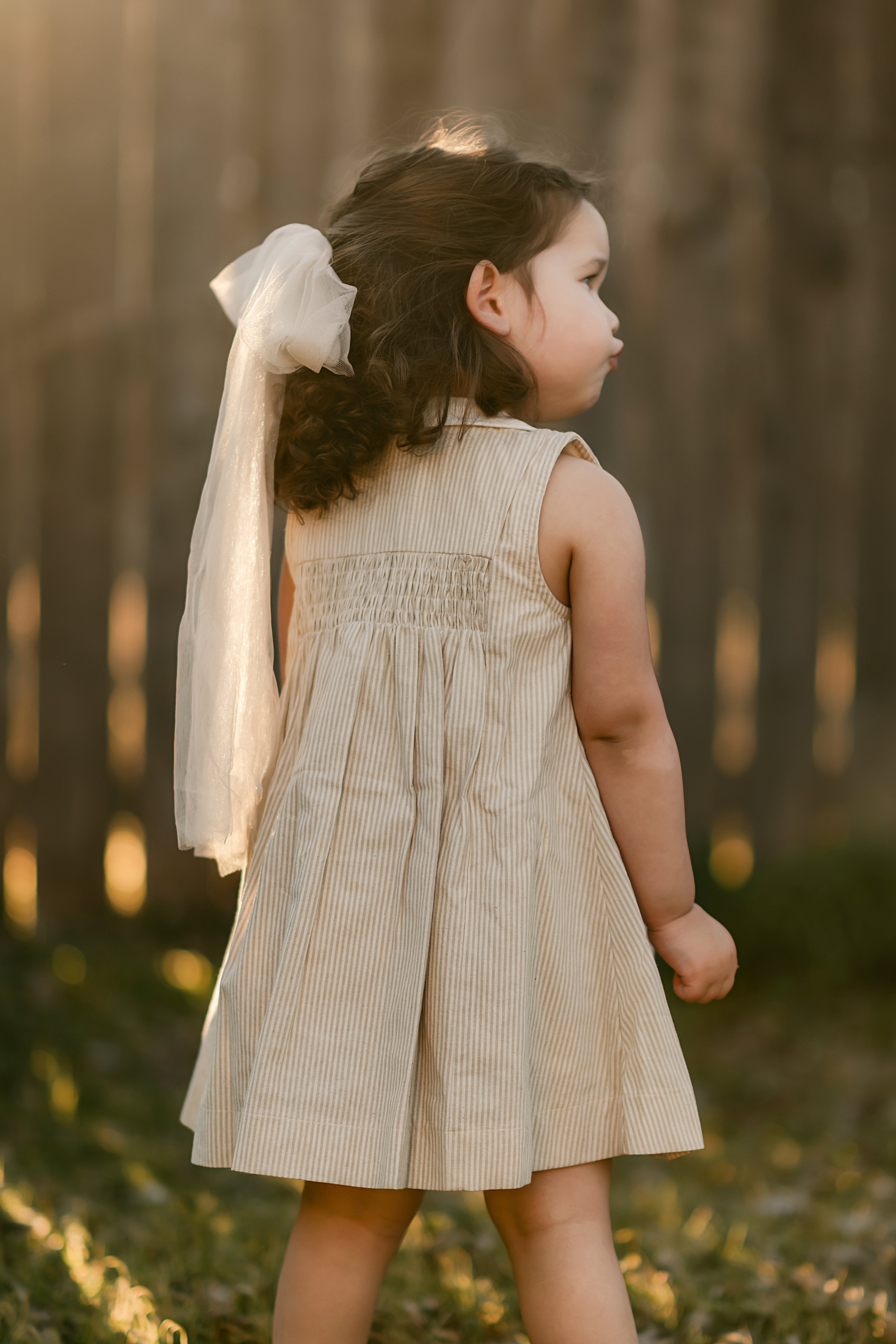 Beige Stripes Dress