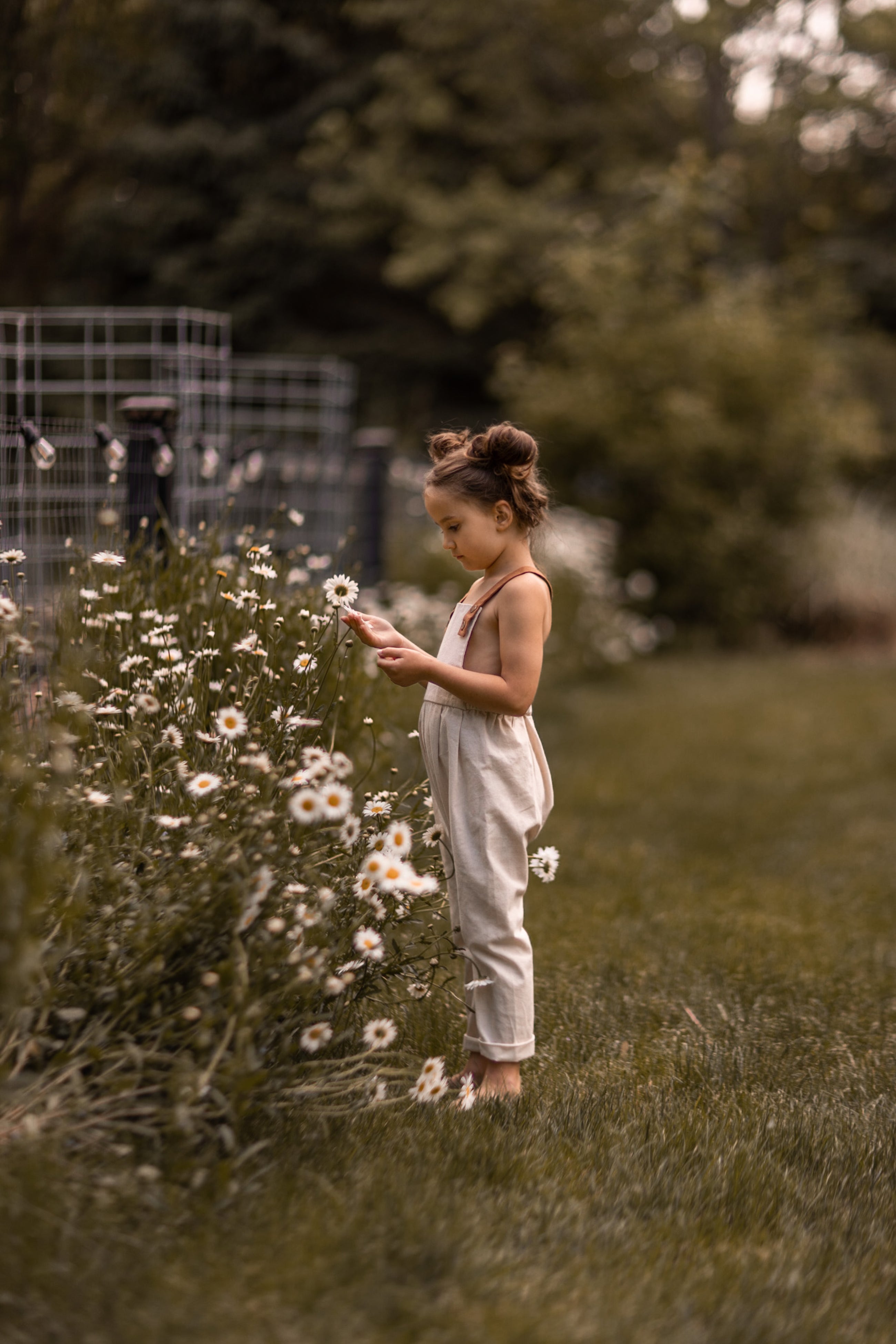 Young girl in a field of flowers, holding a flower.