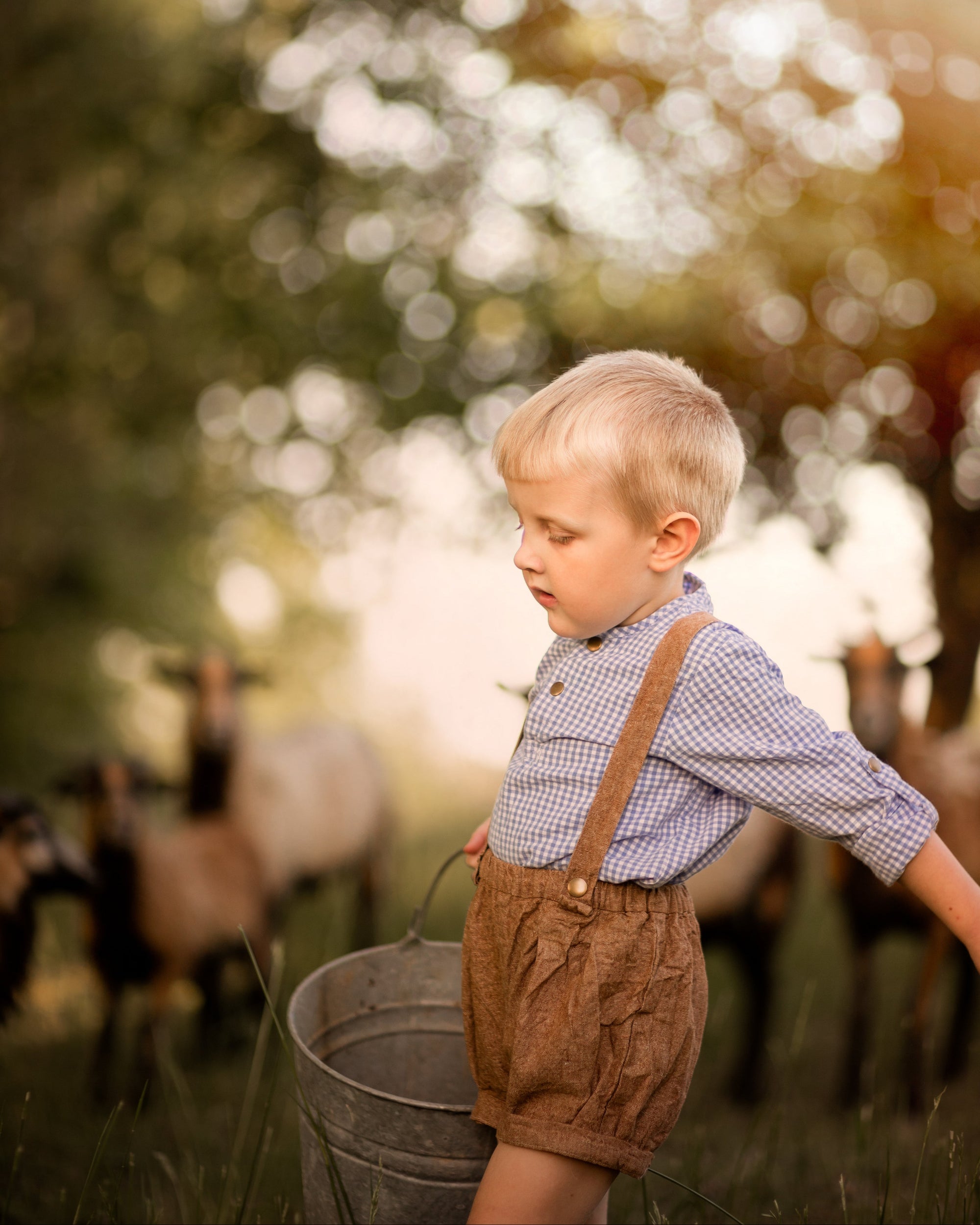 Young boy in suspenders holding a bucket with horses in the background