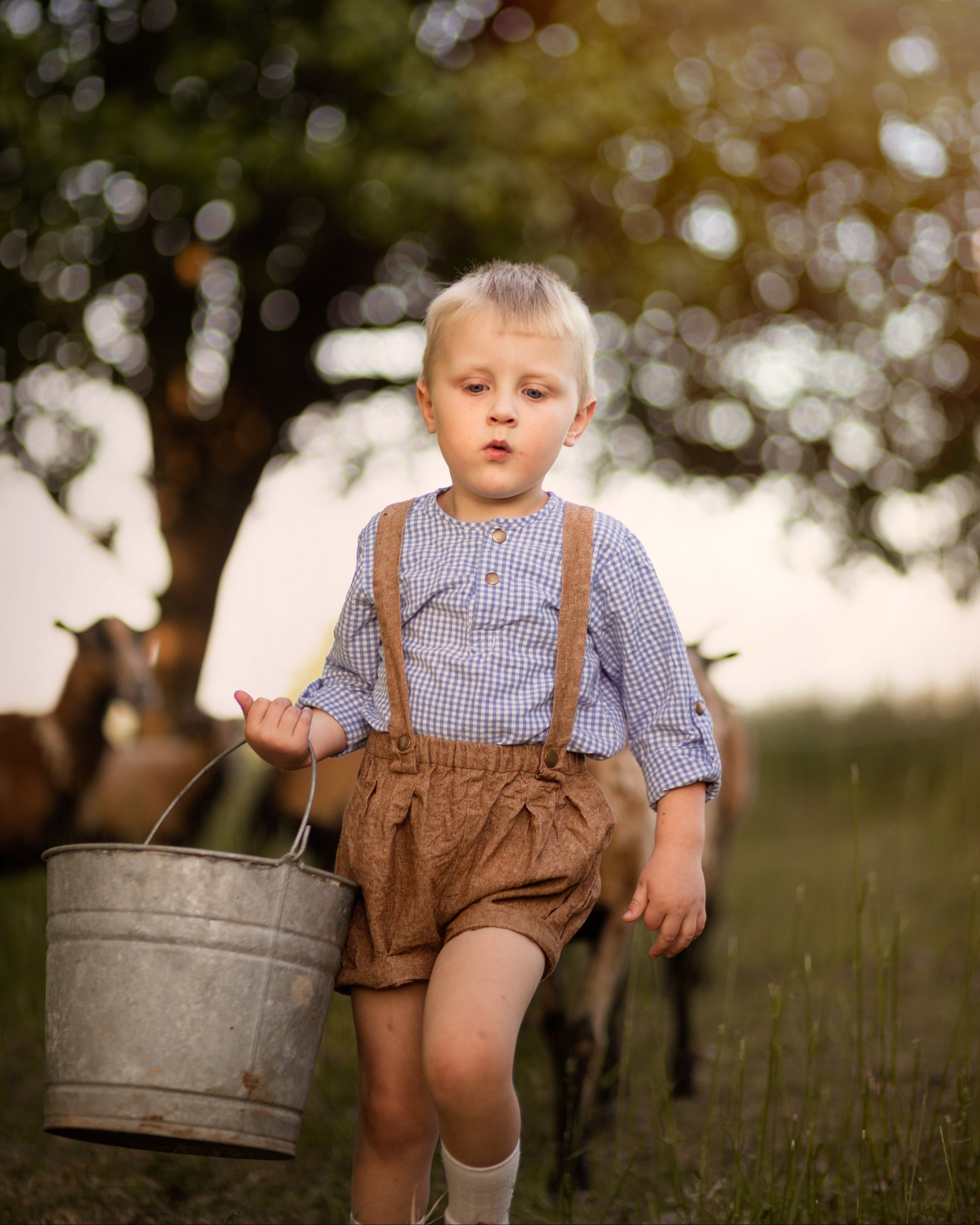 Child in overalls holding a metal bucket in a field with blurred animals in the background