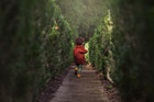 Child in a red coat walking through a tunnel of green hedges