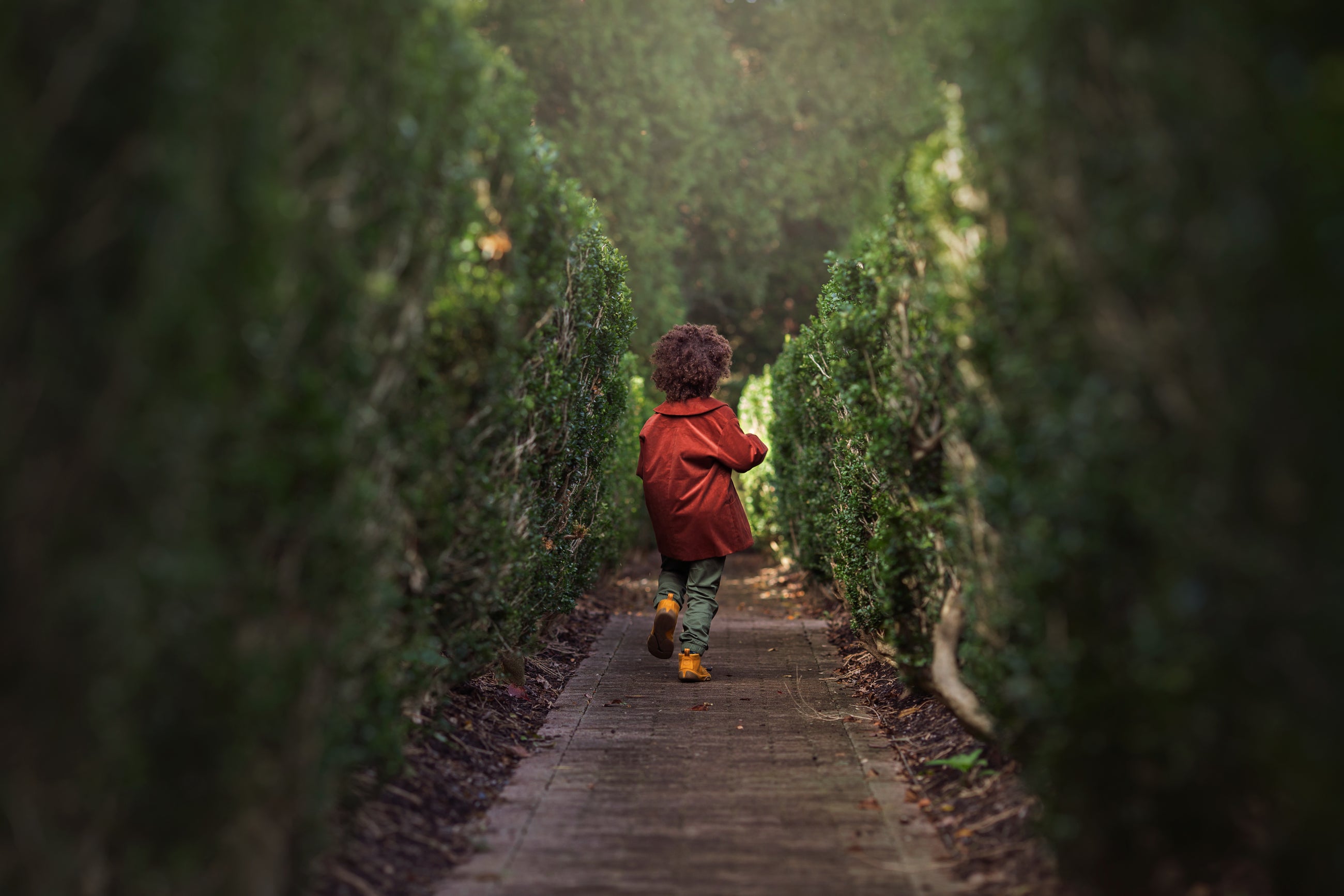 Child in a red coat walking through a tunnel of green hedges