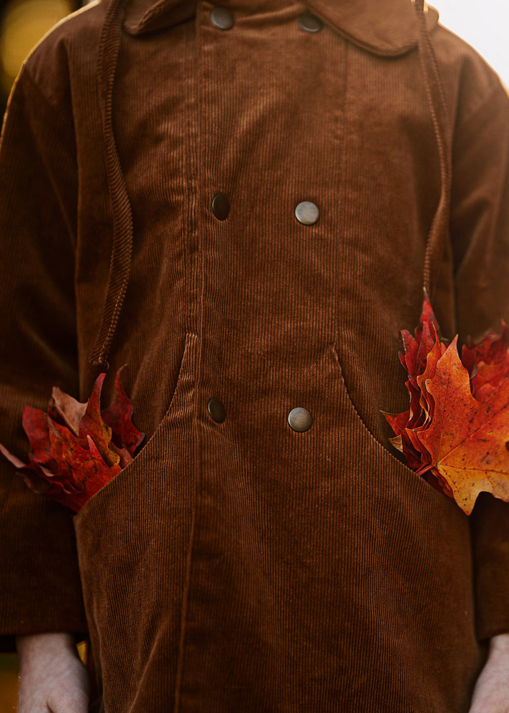 boy wearing a brown coat holding autumn leaves with a blurred natural background