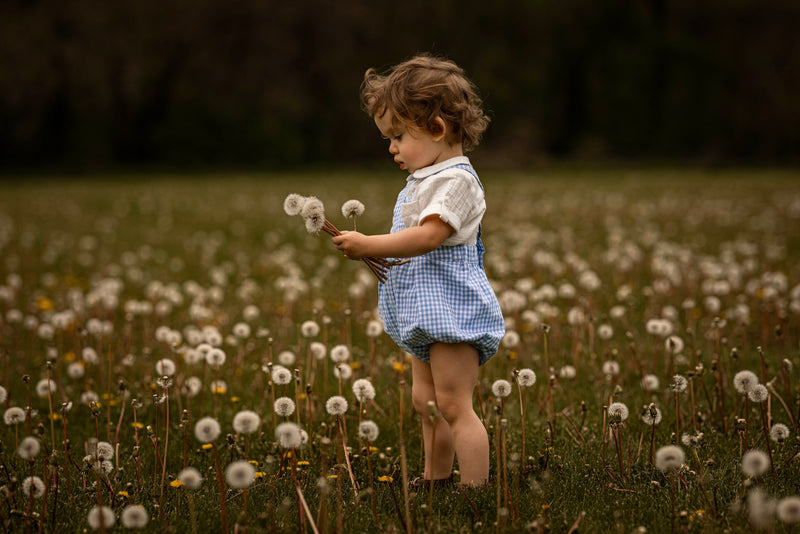 Child in a field of dandelions holding a dandelion seed head.