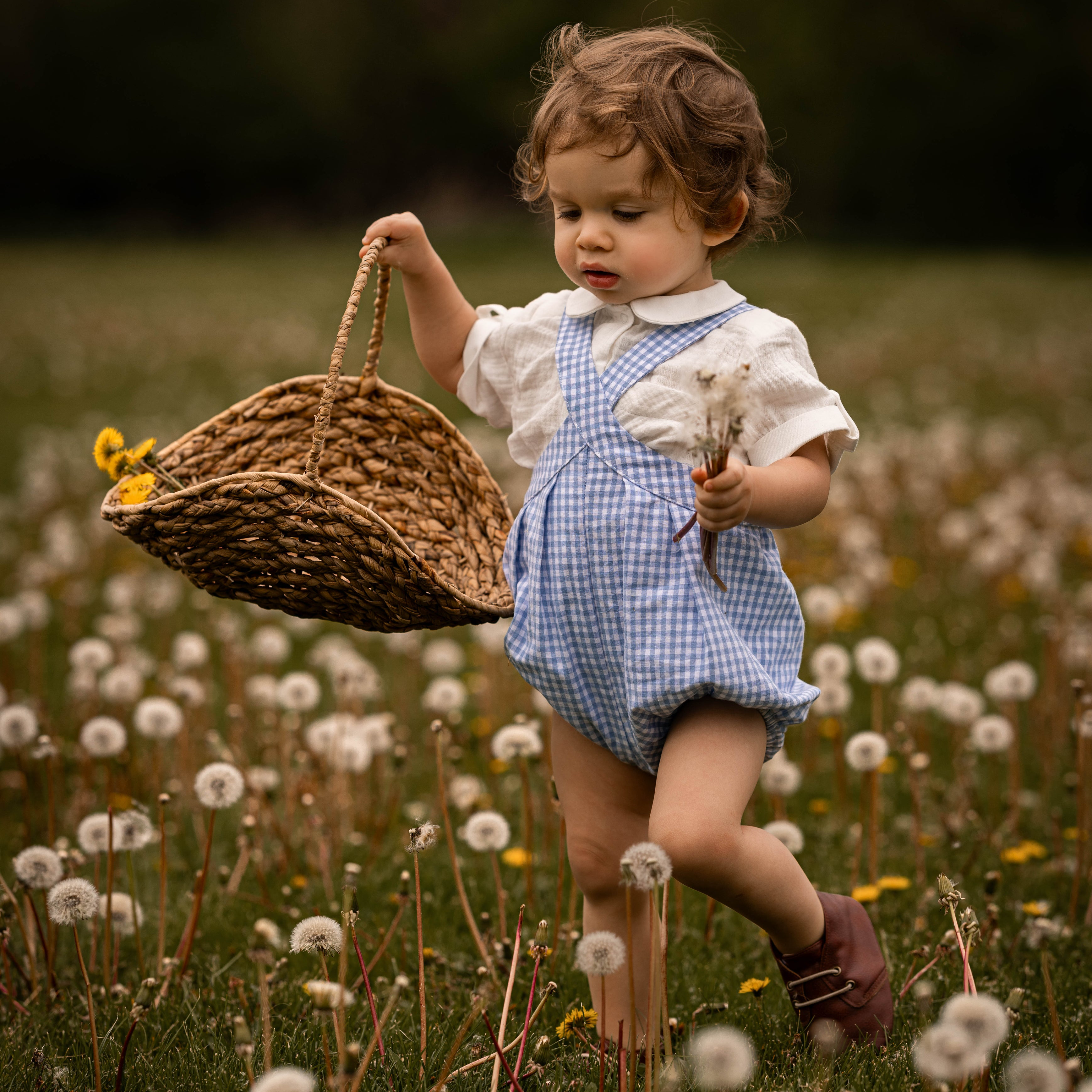 Child in a blue checkered dress holding a basket in a field of dandelions