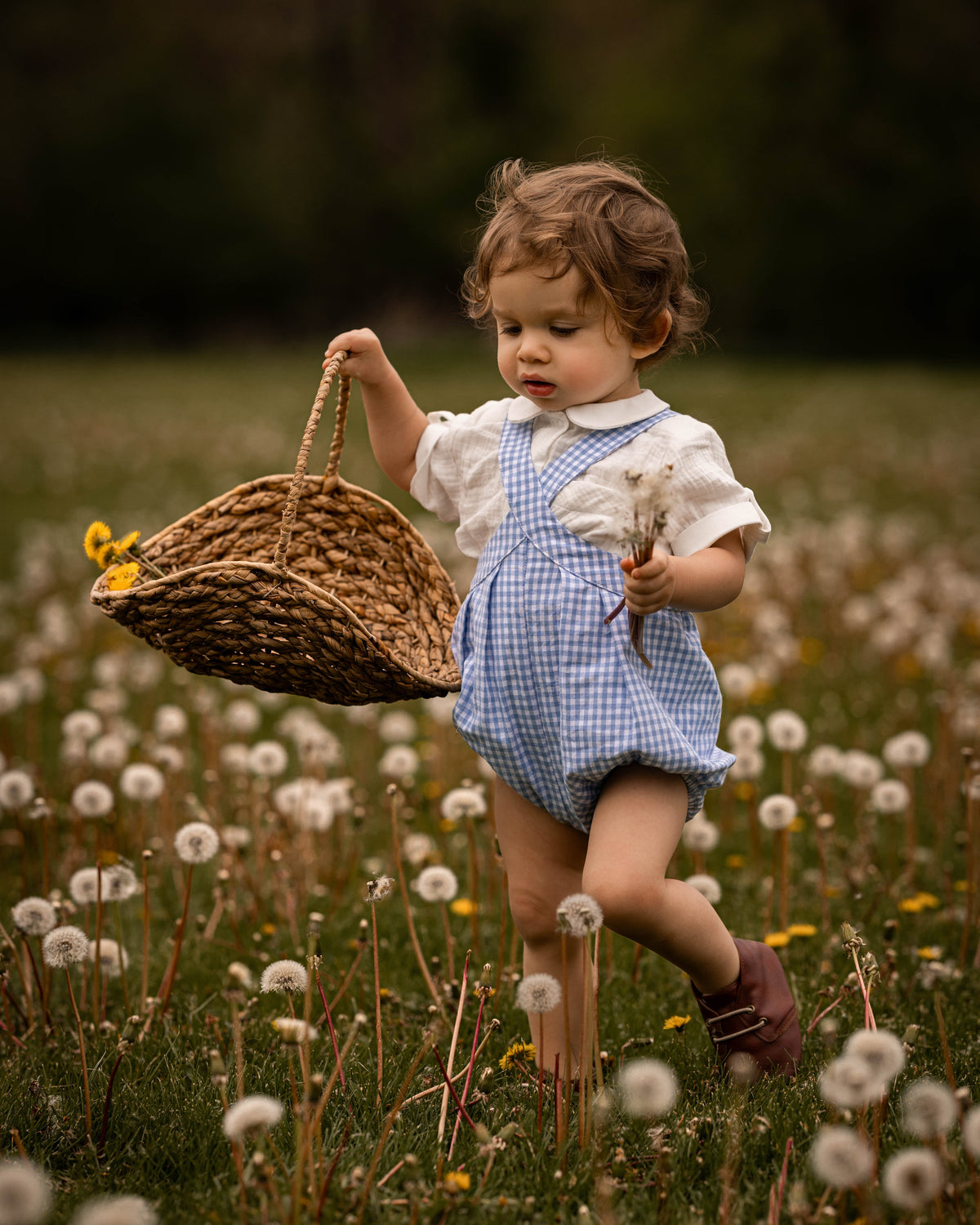 Child in a blue checkered dress holding a basket in a field of dandelions