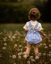 Child in a blue checkered romper standing in a field of dandelions with a blurred natural background